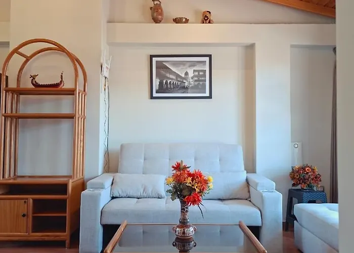 Buena Vista Terrace & Wood *
