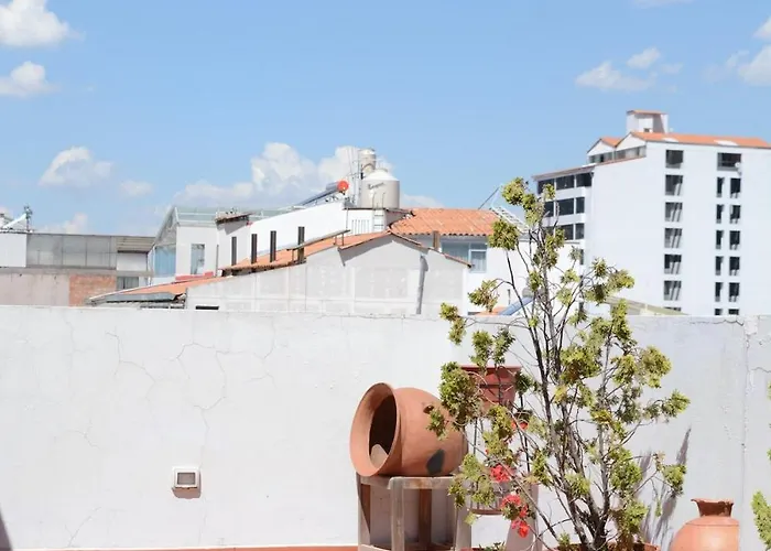 Buena Vista Terrace & Wood *